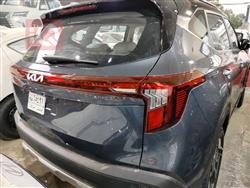 کیا سێلتۆس